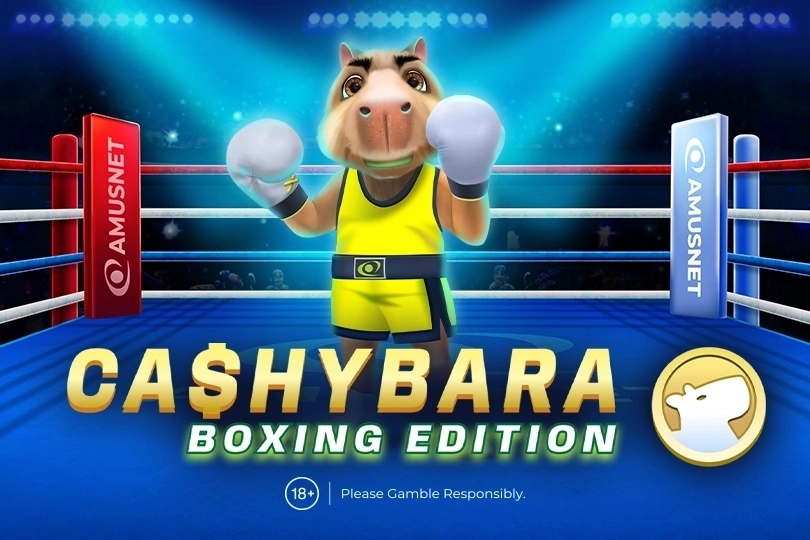 cashybara-boxing-edition